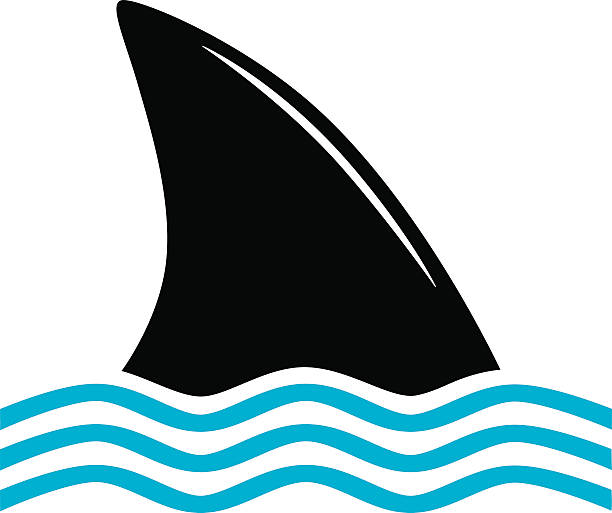 612x513 Collection Of Images Clipart Shark Fin High Quality, Free