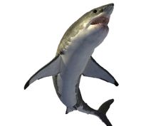 236x177 Shark Png Great White Sharks Two Shark And Clip Art