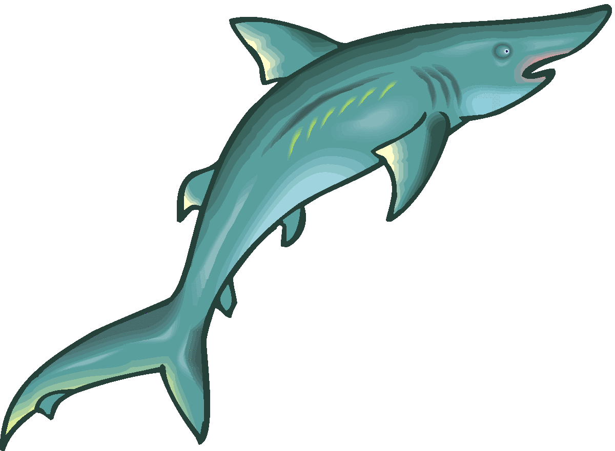 1200x881 Tiger Sharks Clipart