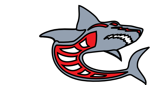 600x339 Shark Drawing Template