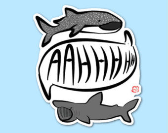 340x270 Basking Shark Etsy