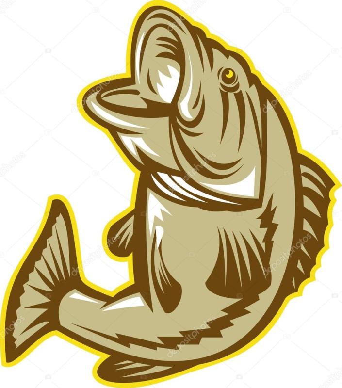 705x800 Bass Fish Clipart