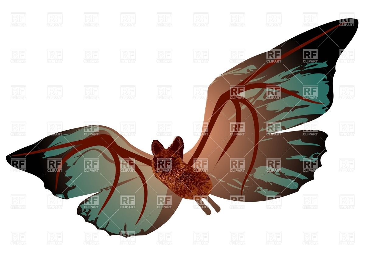 1200x843 Bizarre Bat With Butterfly Wings Iolated On White Royalty Free