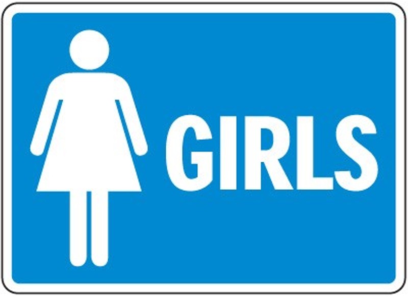 800x590 Free Girls Toilet Cliparts Download Free Clip Art Free Bathroom