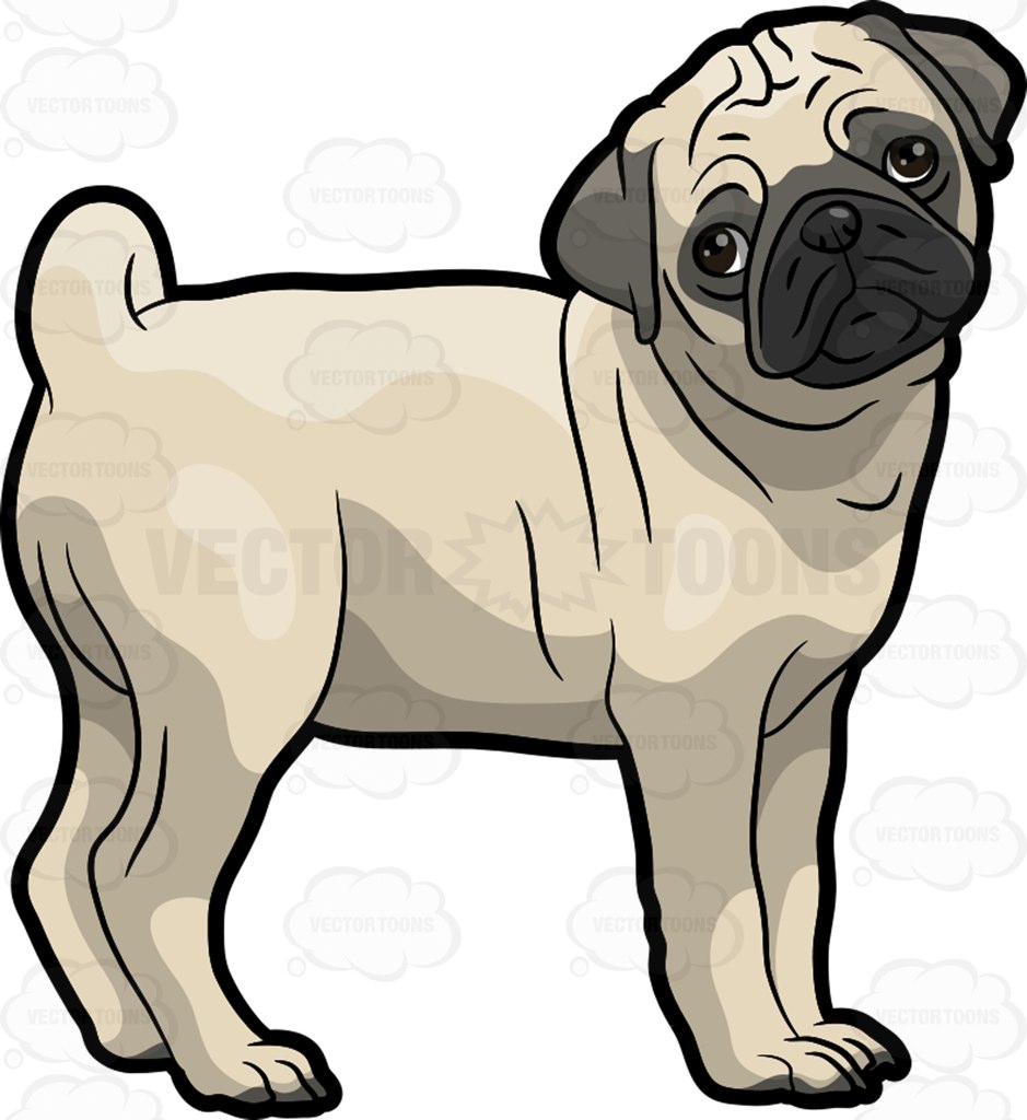 939x1024 Pug Pics Clipart