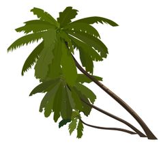 236x211 Palm Tree Clipart Image