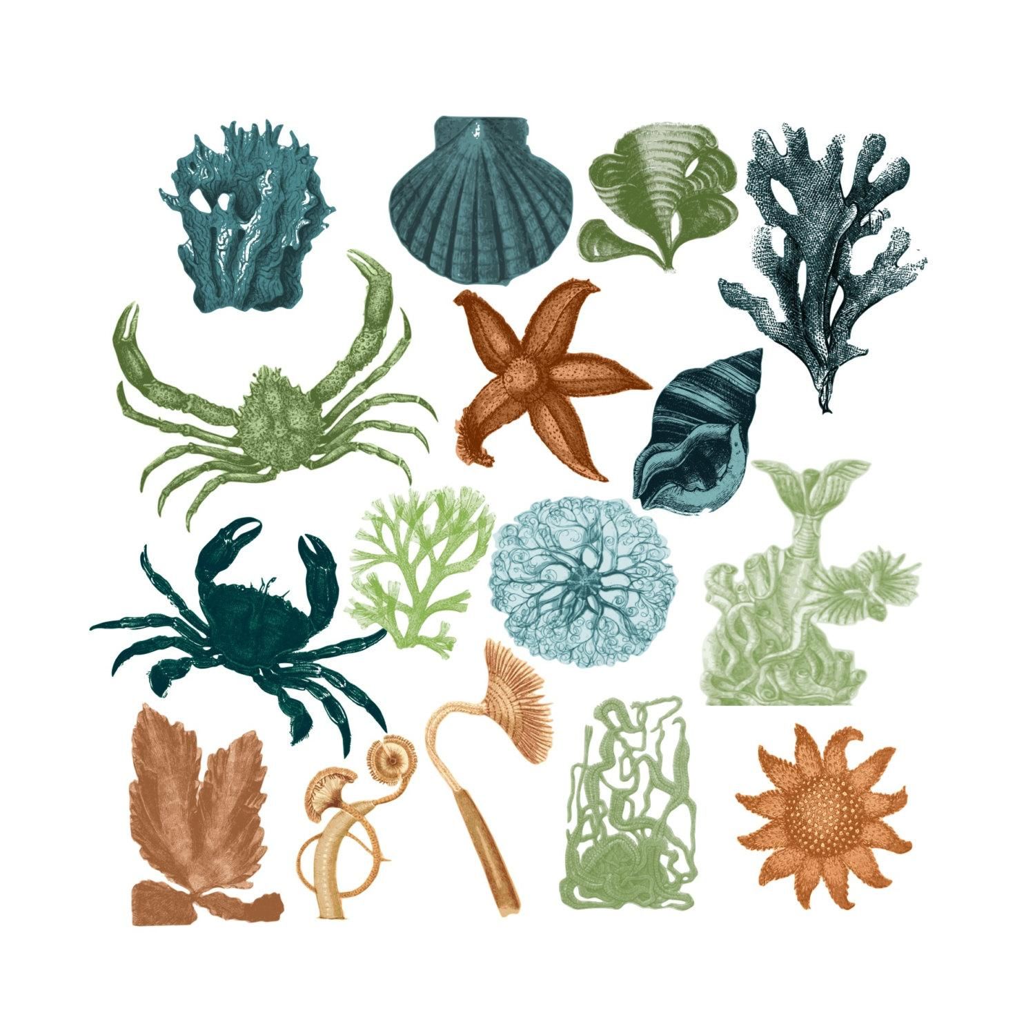 1500x1500 Nautical Clip Art Clipart Vintage Ocean Beach By Changingvases