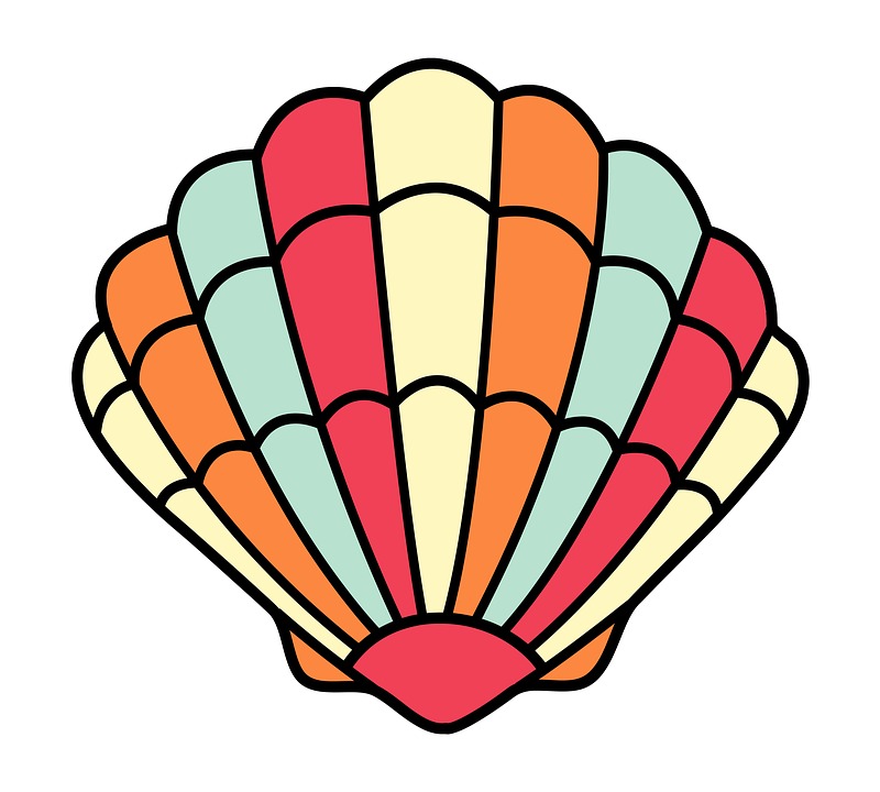 800x720 Beach Items Clipart 4289680