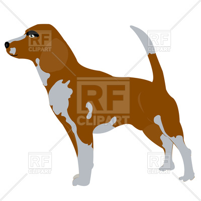 400x400 Beagle Dog Royalty Free Vector Clip Art Image