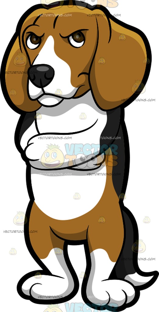 522x1024 An Angry Beagle Cartoon Clipart Vector Toons