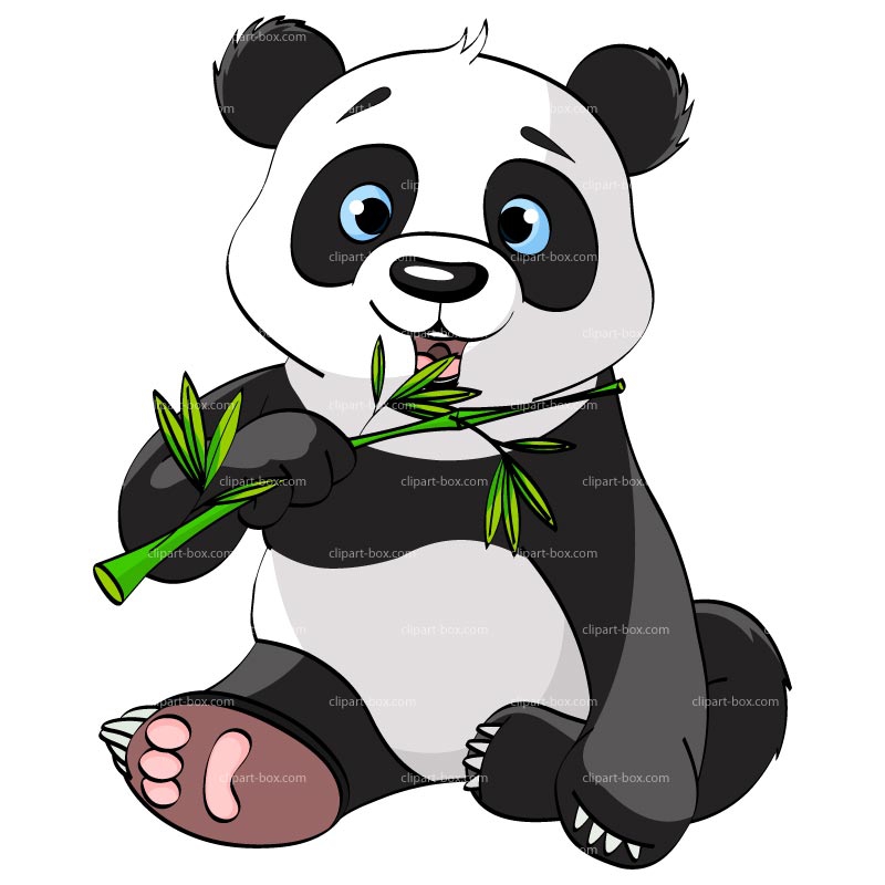 800x800 Panda Clipart For Kids
