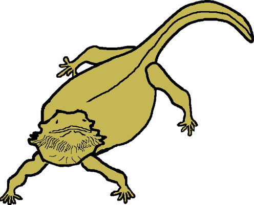 496x401 Top 91 Bearded Dragon Clip Art