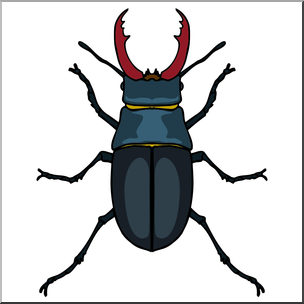 304x304 Beatle Clipart Staghorn