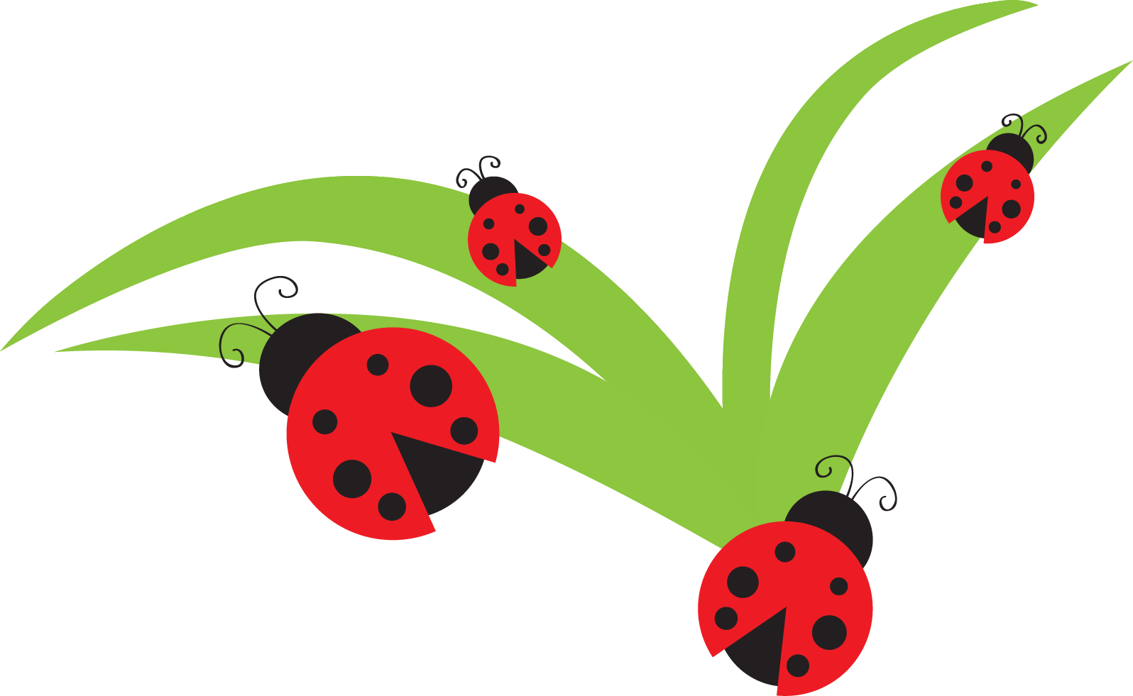 1596x981 Beetles Clipart Beatle