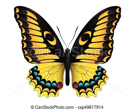 450x366 Beautiful Butterfly Isolated On A White Background . Vector Clip