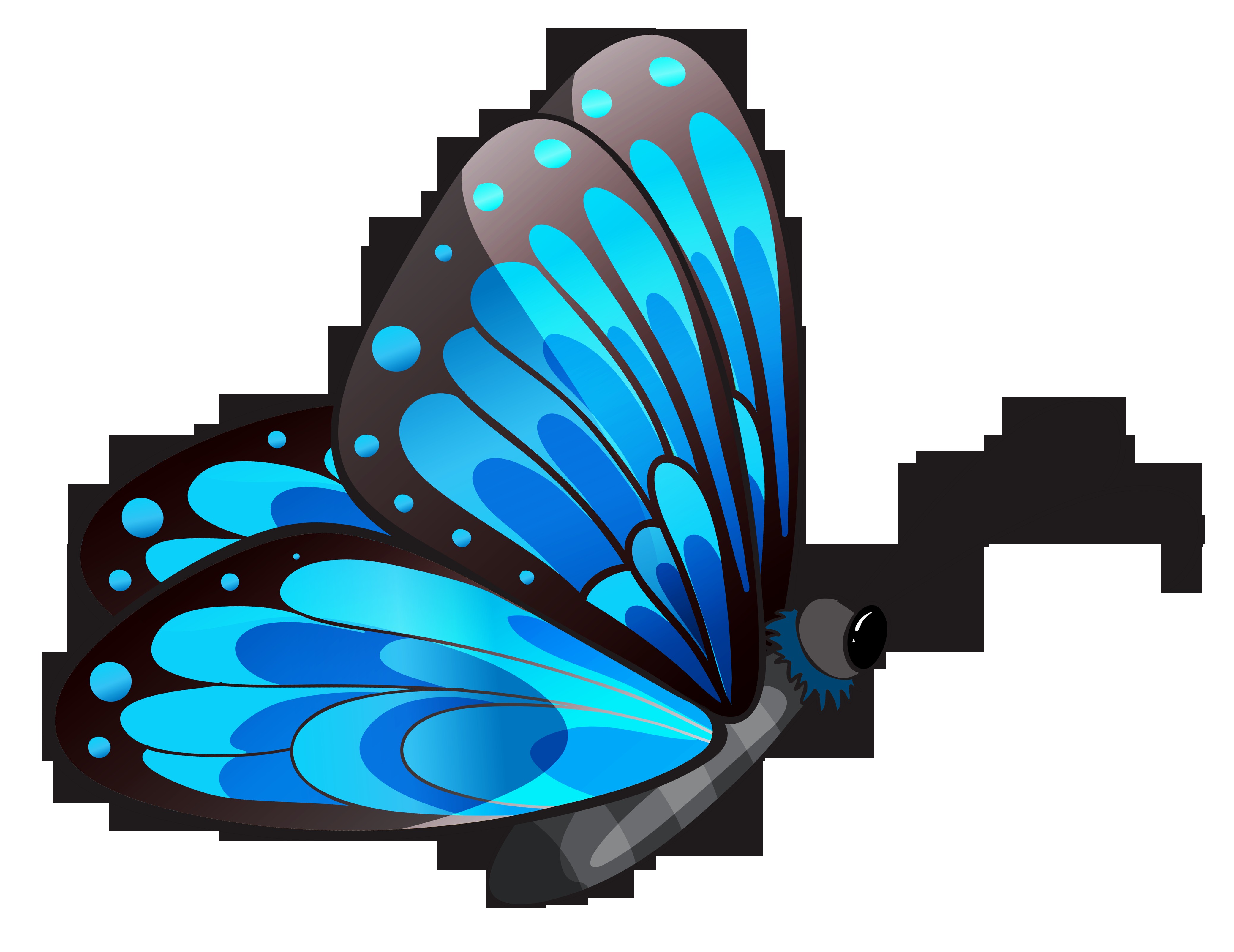 Beautiful Butterfly Clipart at GetDrawings | Free download