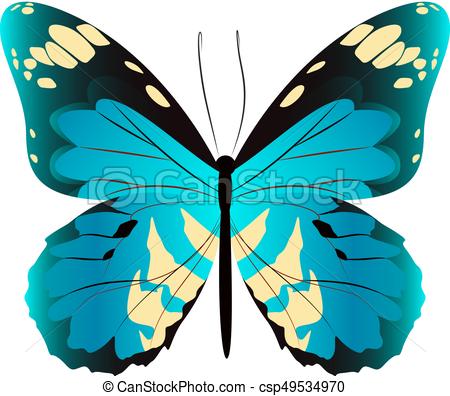 Beautiful Butterfly Clipart at GetDrawings | Free download