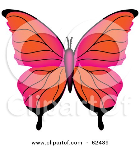 450x470 Royalty Free (Rf) Clipart Illustration Of A Beautiful Purple