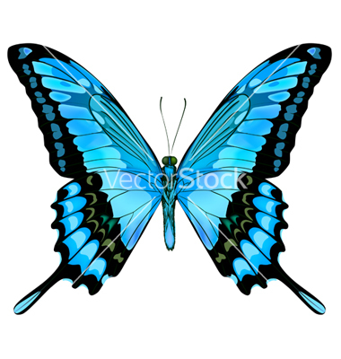 380x400 Absolem Outline Alice Do Espelho Moodboard