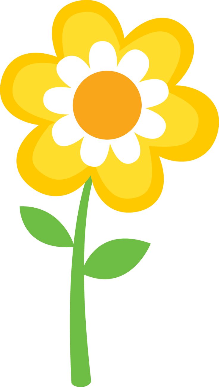736x1299 Best 25 Flower Clipart Ideas On Free Clip Art Flowers