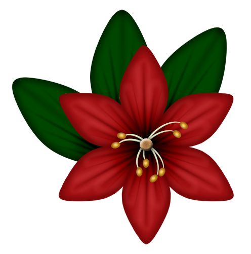 496x501 219 Best Flowers Clipart Images On Bow Bow, Drawings