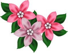 236x185 Pink Flower Decor Png Clipart Beautiful Flowers