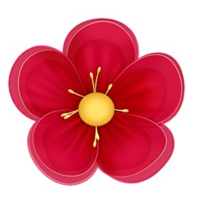 300x288 307 Best Flowers Clipart Images On Flower Clipart