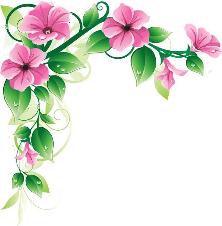 736x749 Beautiful Flowers Borders Clipart