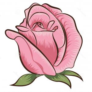 300x300 Stock Image Illustration Rose Vector Flower Clip Art Image