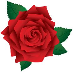 236x232 Image Of Clip Art Red Rose