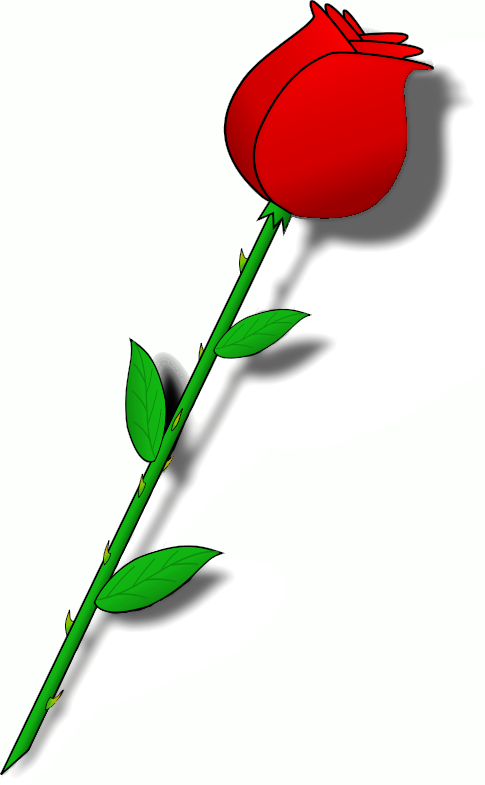 485x785 Long Stem Rose Clipart