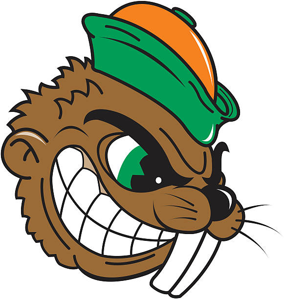 Beaver Clipart