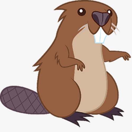 500x500 Brown Beaver, Brown Cute Beaver, Beaver, Animal Png Image