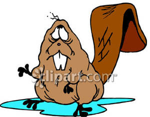 300x234 Beaver Clipart