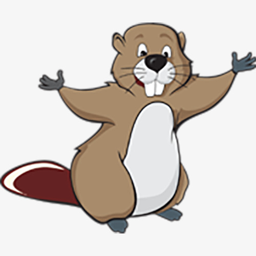 500x500 Tusk Beaver, Smiling Beaver, Beaver, Lovely Beaver Png Image