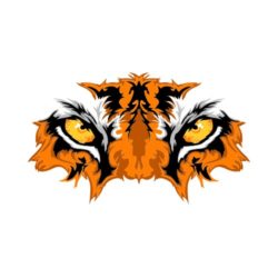 250x250 Beaver Clip Art