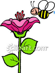 225x300 Smiling Bee With A Big Flower