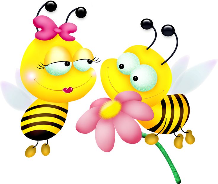 736x622 Bumble Bee Bumblebee Clip Art