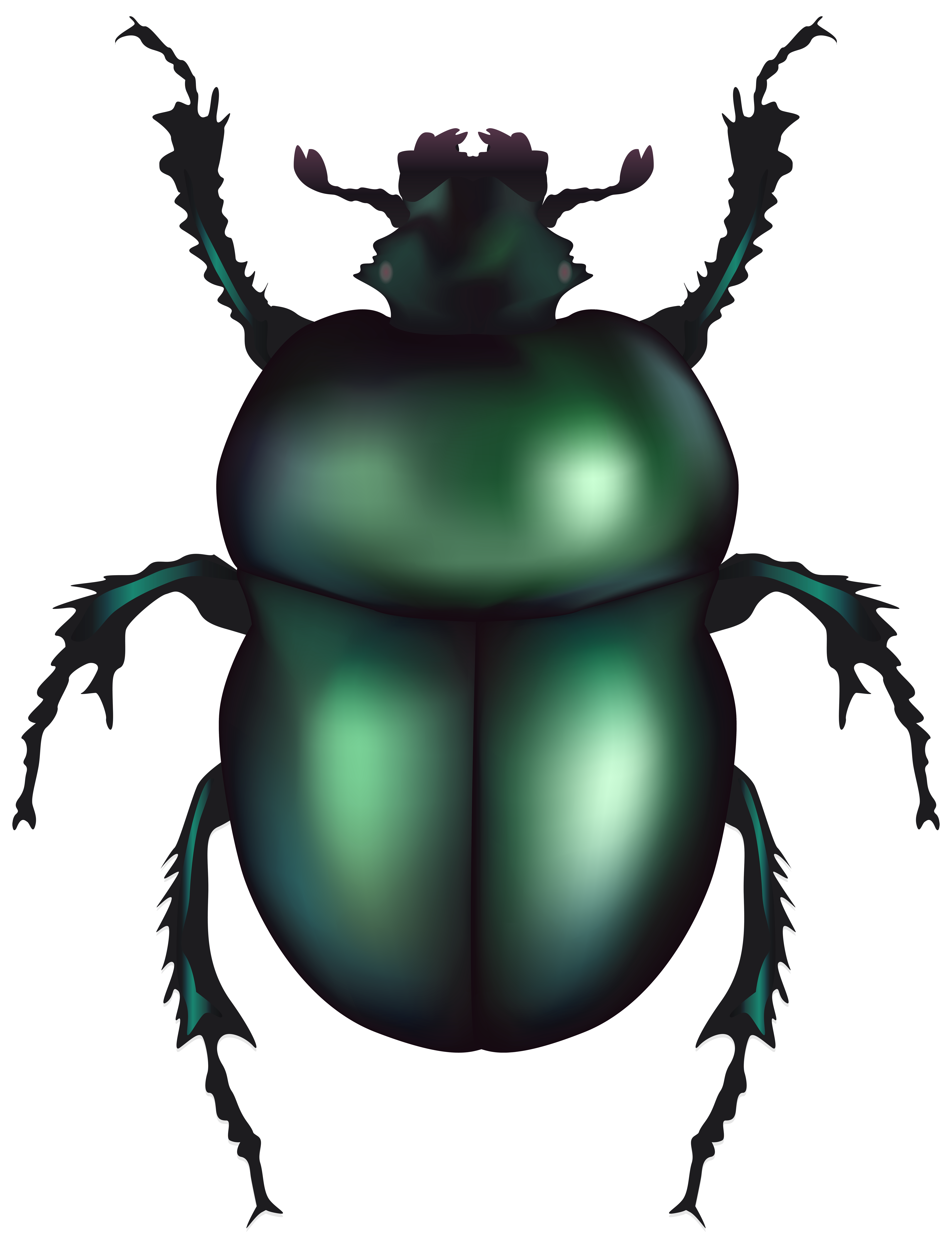 6101x8000 Green Rose Chafer Beetle Png Clip Art