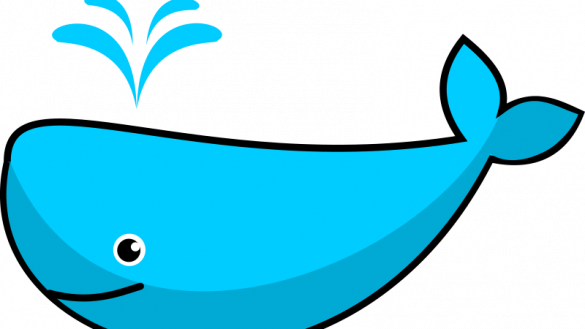 585x329 Simple Cartoon Whales Pictures Whale Stock Images Royalty Free