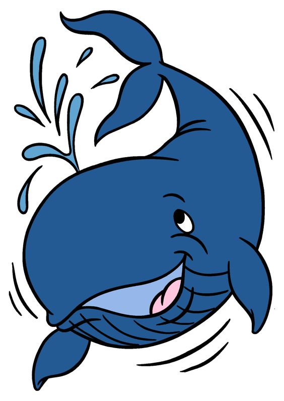 564x796 Whale Clip Art