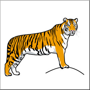 304x304 Clipart Big Cats Cat Cartoon Pencil And In Color