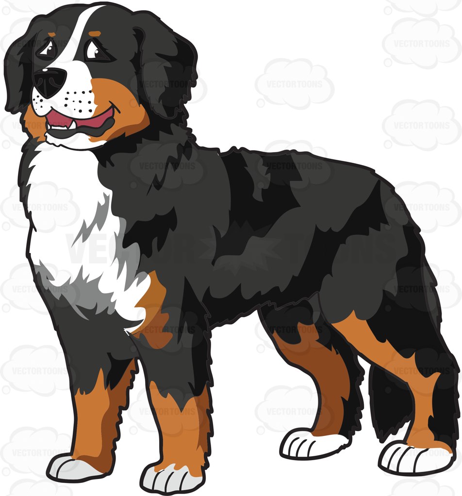 952x1024 Bernese Mountain Dog Clipart