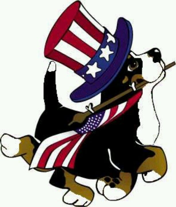 614x720 150 Best Berners Images On Bernese Mountain Dogs