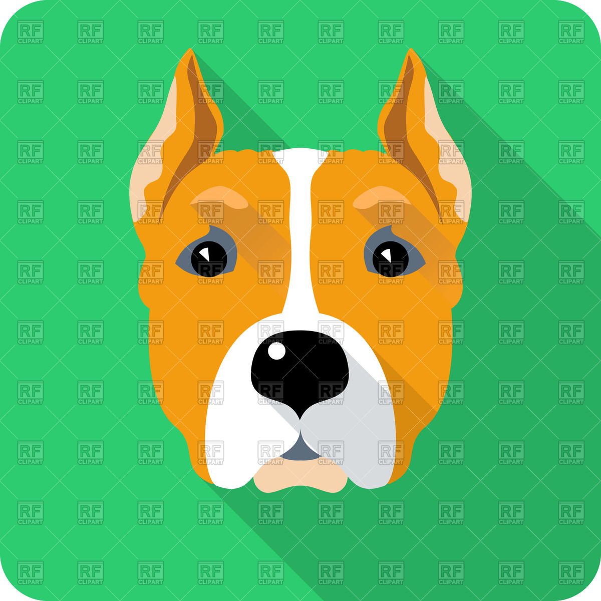 1200x1200 Head Of Bernese Mountain Dog