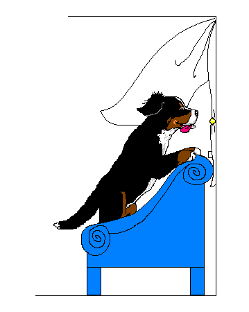 359x450 Bernese Mountain Dogs Animated Images, Gifs, Pictures