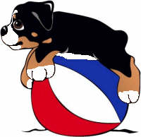 200x194 Bernese Mountain Dogs Animated Images, Gifs, Pictures