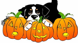 300x166 Bernese Mountain Dog Graphics
