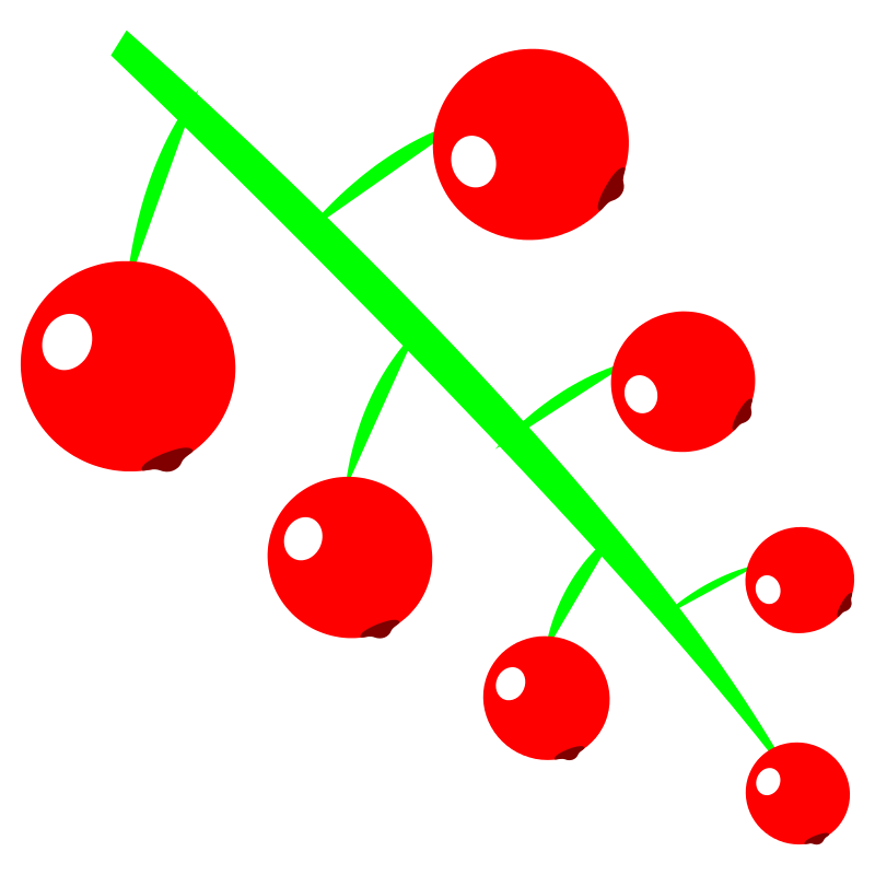 800x800 Free Clipart Berries Matheod