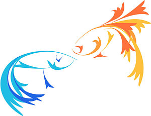 300x231 Betta Fish Paintings Fine Art America